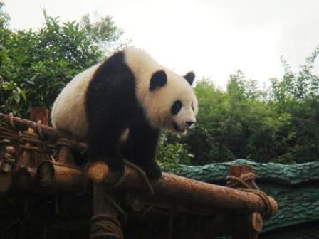 貴陽森林野生動(dòng)物園