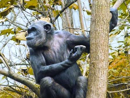貴陽森林野生動(dòng)物園